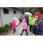 k-IMG_1934.jpg